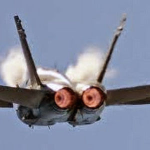 Meet your Posher, Dan